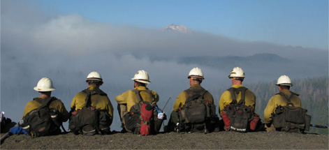 firestorm Company workers in forest fire working firefighting