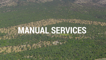 Manual services