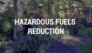 Hazardous Fuels Reduction